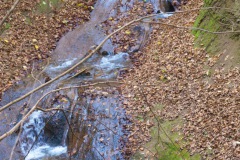 Wanderung_2024_11_-11