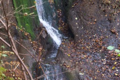 Wanderung_2024_11_-14