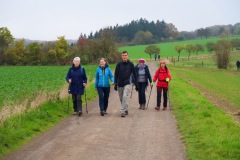 Wanderung_2024_11_-18