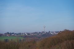 DSC_4481