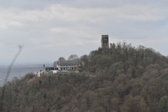 DSC_0342