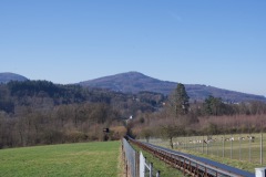 DSC_4562