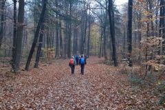 IMG-20251109-WA0021