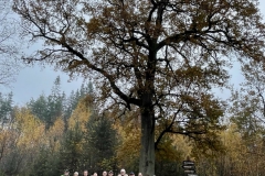 b59287db3d1e4582ea98d0ceced57df71400e5621ab592c0a8da8e382a3b43a0