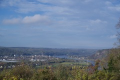 DSC_1559