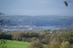 DSC_1564