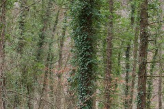 DSC_2046