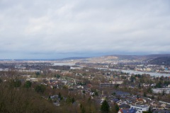 DSC_3544
