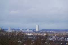 DSC_3545