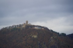 DSC_3549